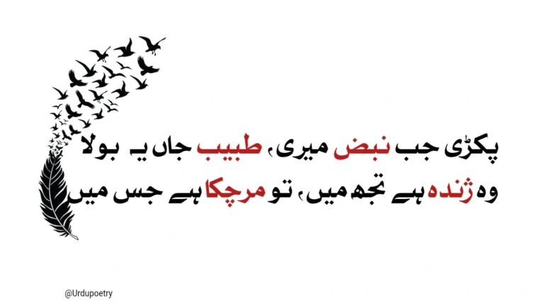 2 line sad poetry in urdu
