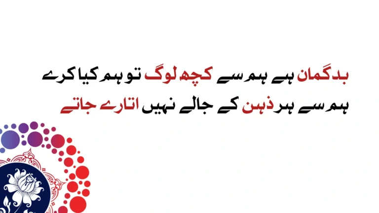 Attitude poetry in urdu - attitude poetry in english