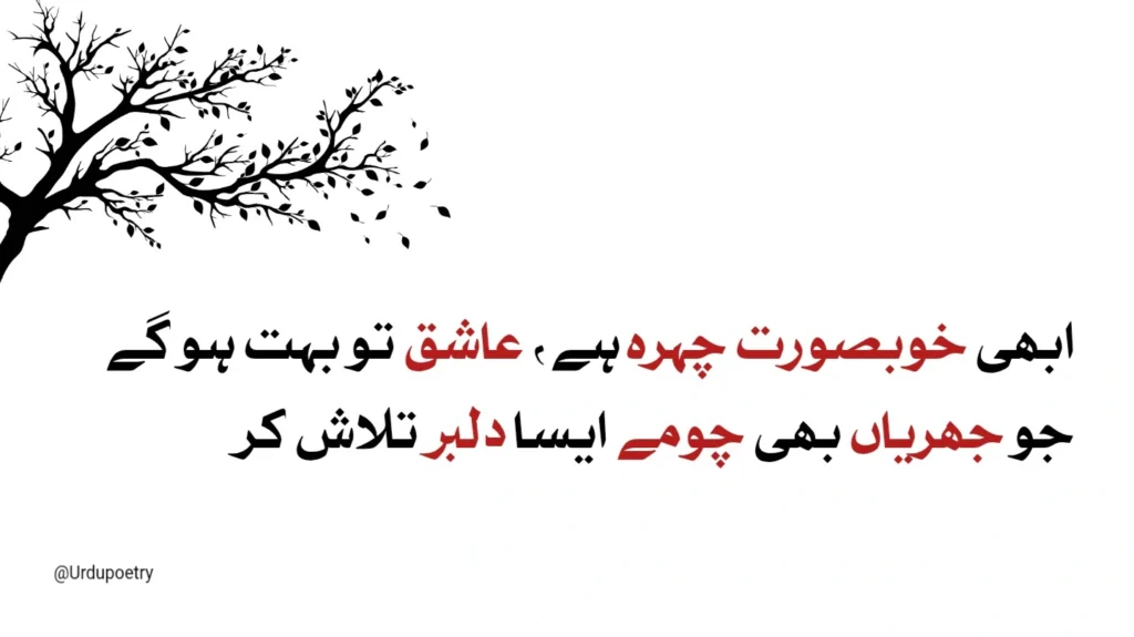 Heart Broken Poetry in Urdu 2 heart broken poetry in urdu - poetry pics