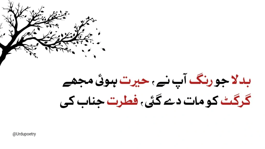 Heart Broken Poetry in Urdu 3 broken urdu poetry - sad poetry pics in urdu